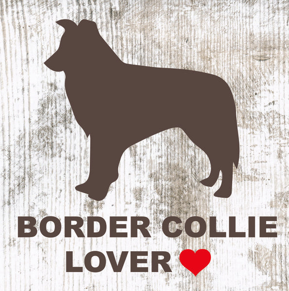Placa Border Collie - Várias
