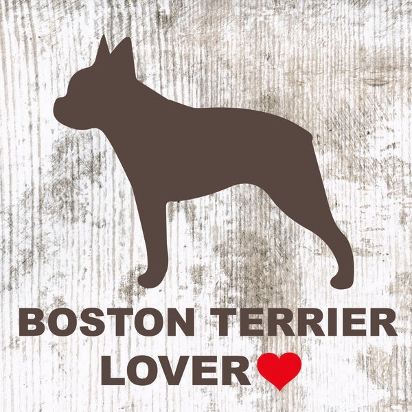 Placa Boston Terrier - Várias