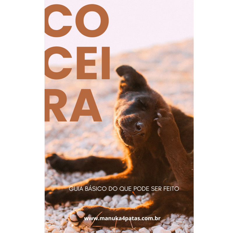 Coceira: um guia básico