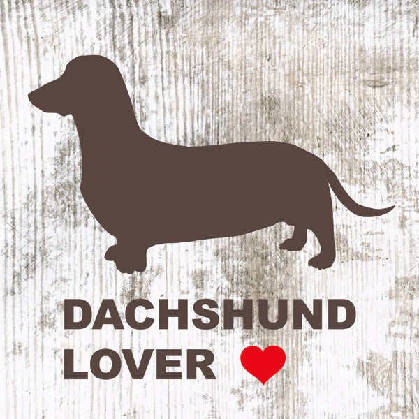 Placa Dachshund- Várias
