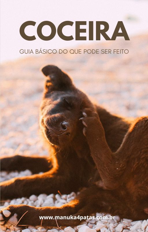 E-Book Coceira