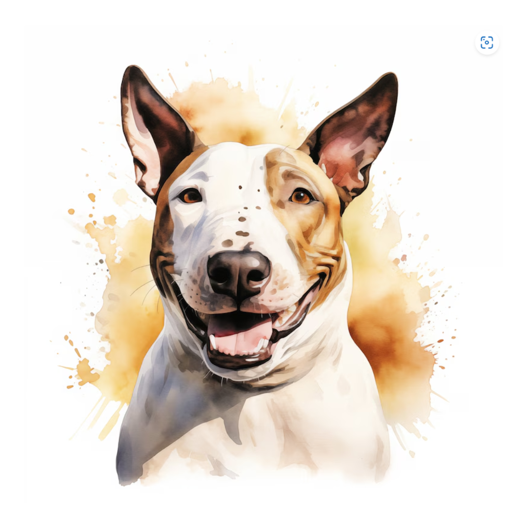 Placa Bull Terrier - Várias