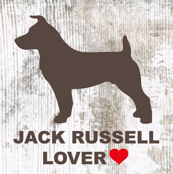 Placa Jack Russell - Várias
