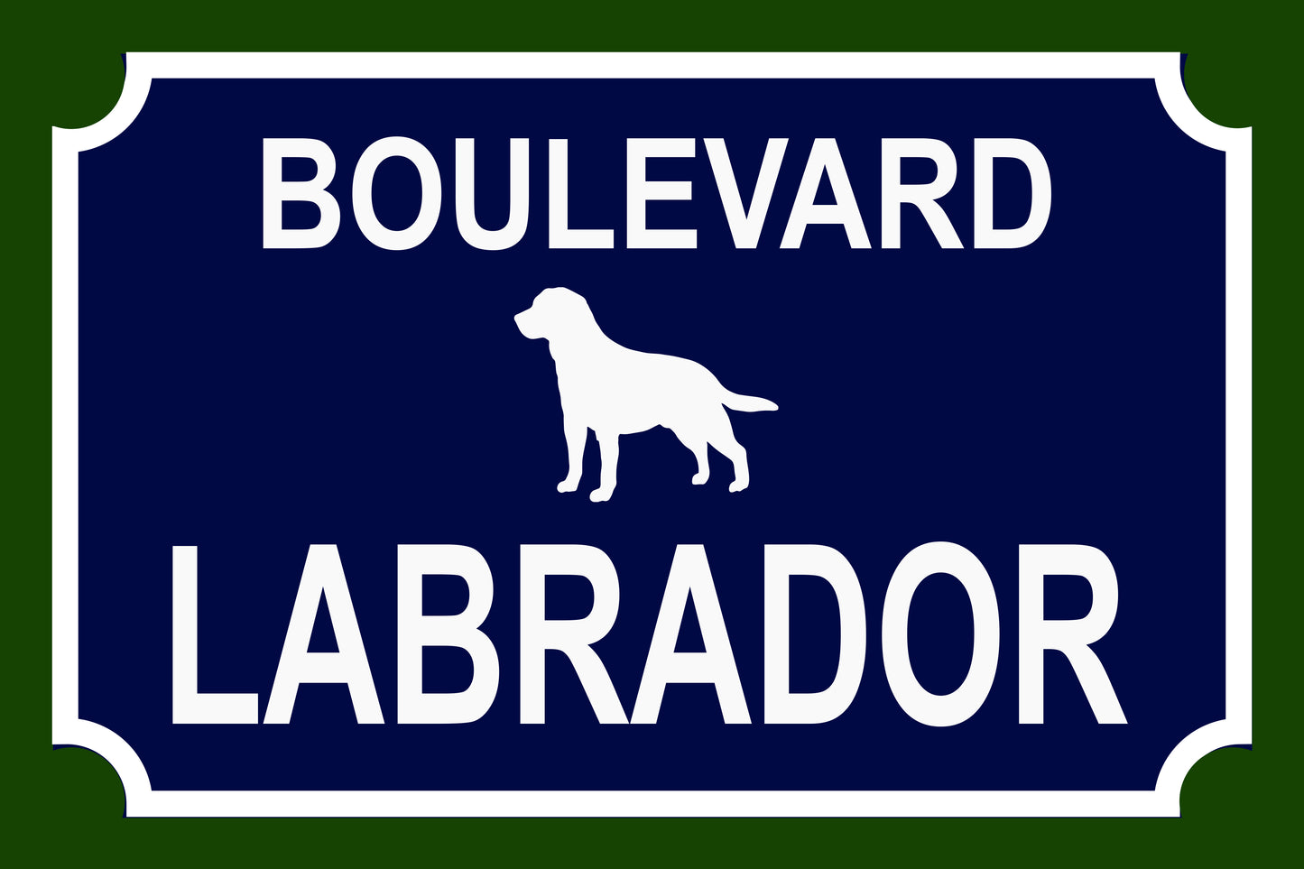 Placa Labrador - Várias