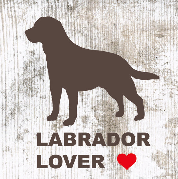 Placa Labrador - Várias