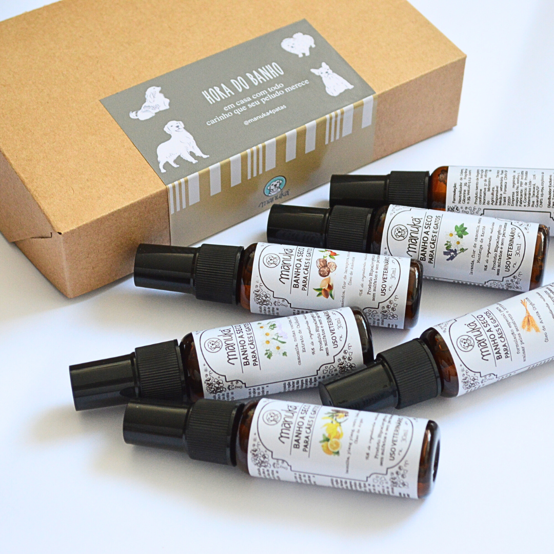 KIT BANHO A SECO e LOÇÃO DE OUVIDOS | miniatura com 6 unidades