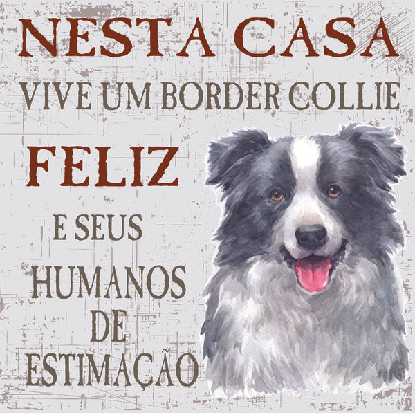 Placa Border Collie - Várias
