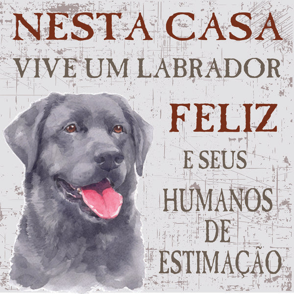 Placa Labrador - Várias