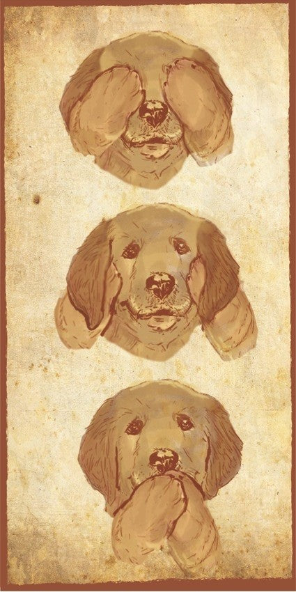 Placa Golden Retriever - Várias
