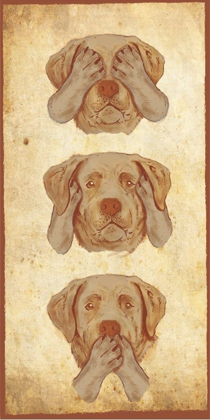 Placa Labrador - Várias