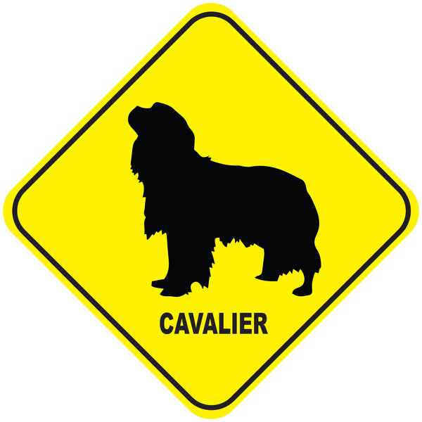 Placa Cavalier - Várias