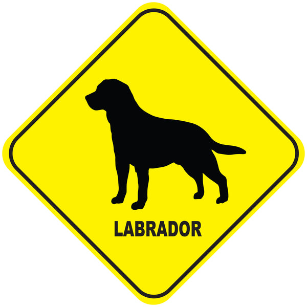 Placa Labrador - Várias
