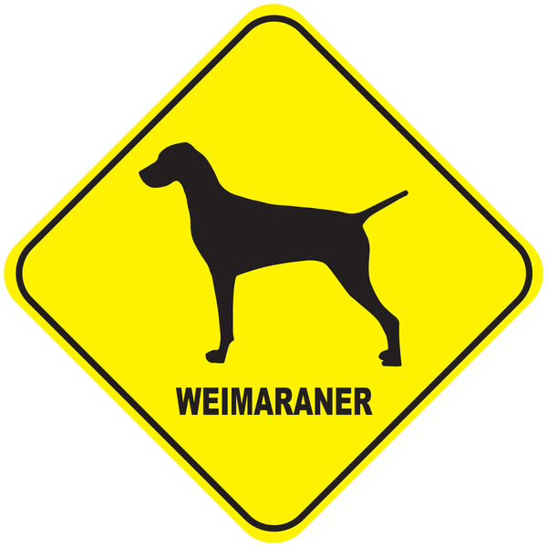 Placa Weimaraner - Várias