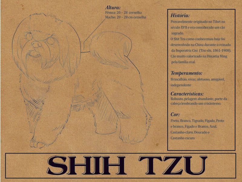 Placa Shih Tzu - Várias