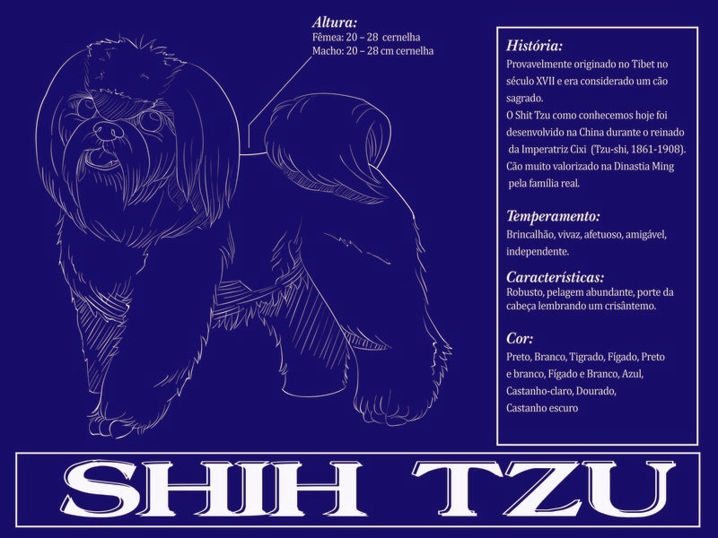Placa Shih Tzu - Várias