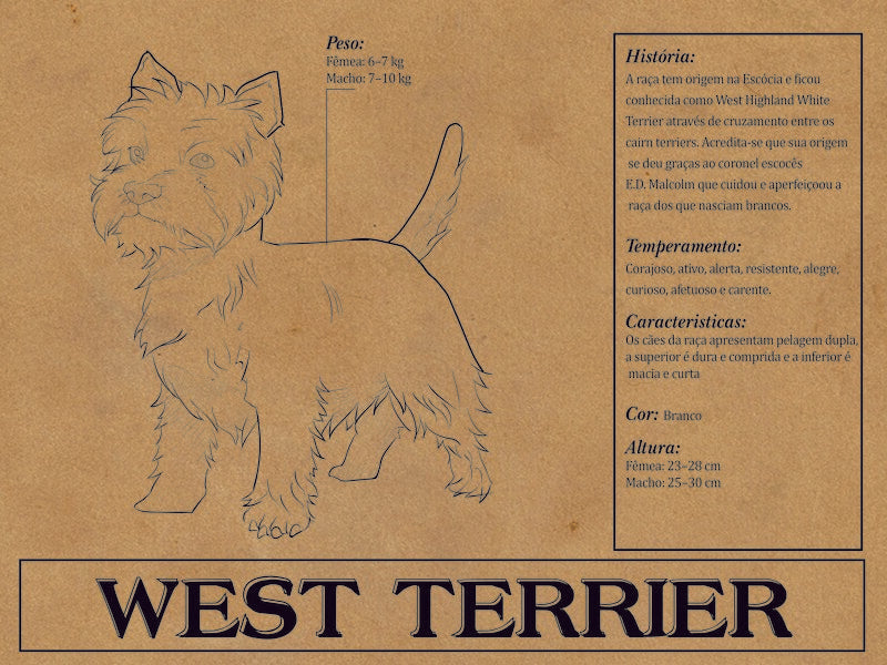 Placa West Terrier - Várias