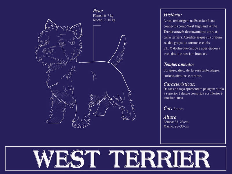 Placa West Terrier - Várias