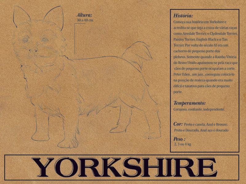 Placa Yorkshire - Várias