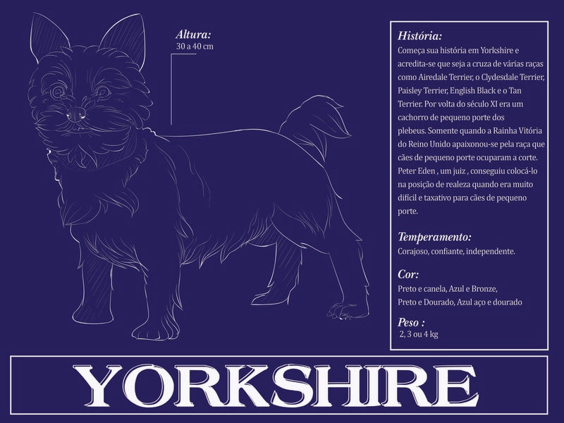 Placa Yorkshire - Várias