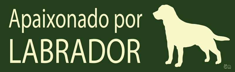 Placa Labrador - Várias