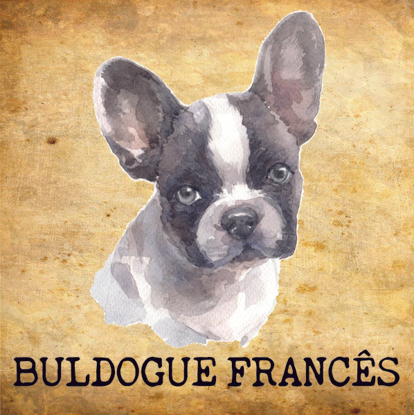 Placa Buldogue Francês - Várias