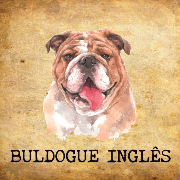 Placa Buldogue Inglês - Várias