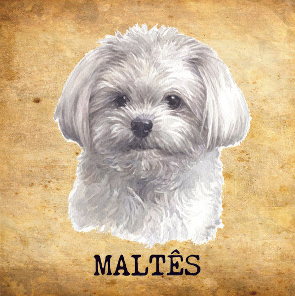 Placa Maltês - Várias