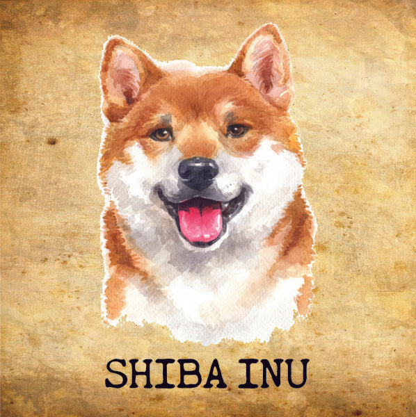 Placa Shiba - Várias