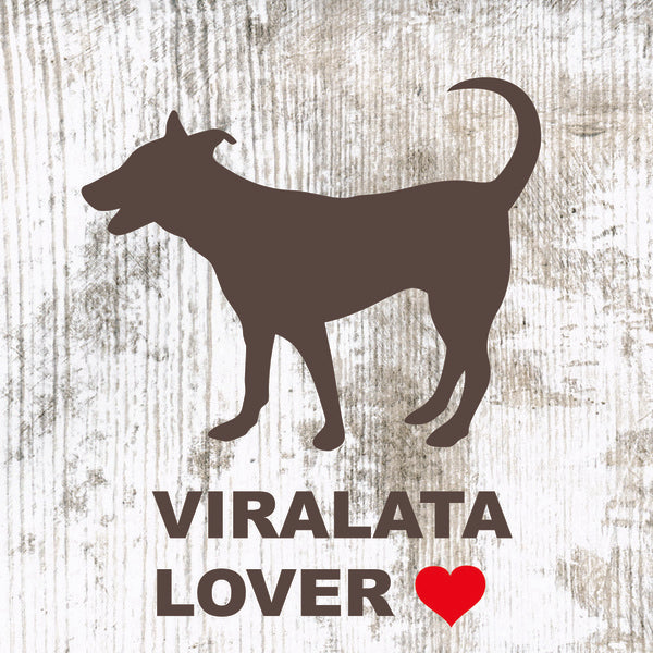 Placa Viralata - Várias
