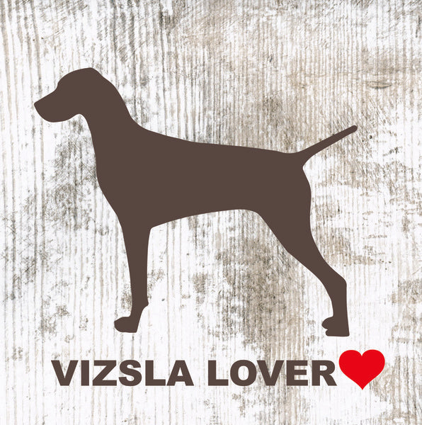 Placa Vizsla