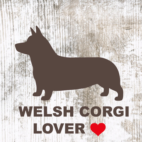 Placa Corgi - Várias