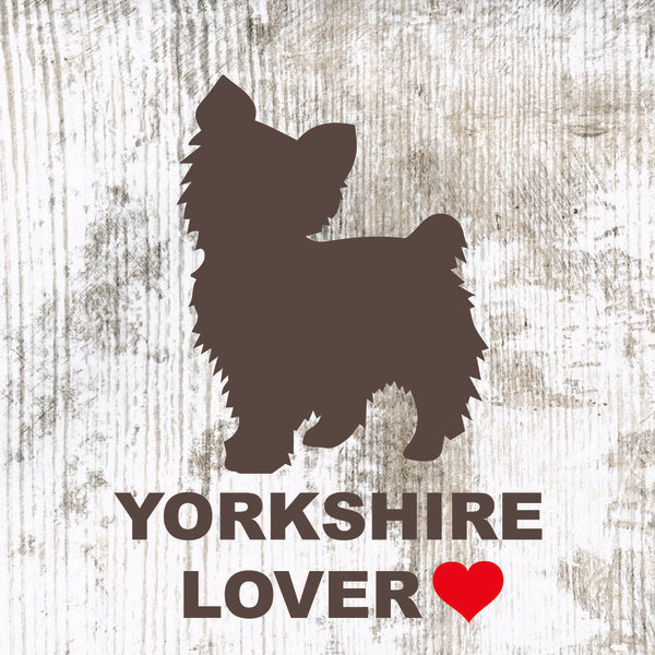 Placa Yorkshire - Várias