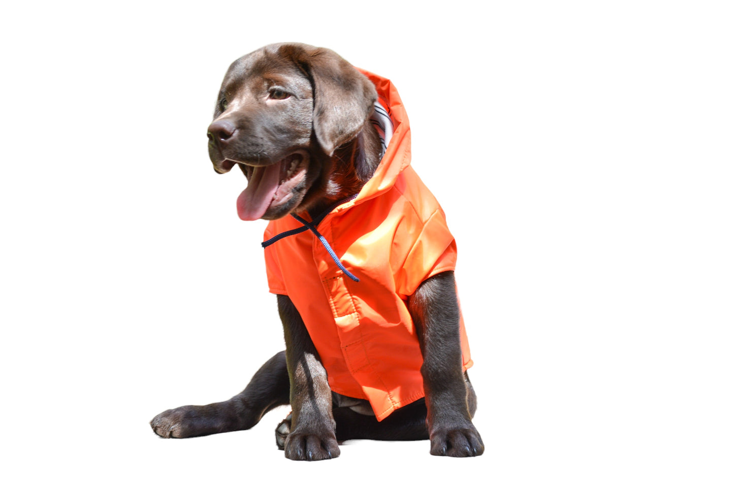 Capa de Chuva Laranja Neon