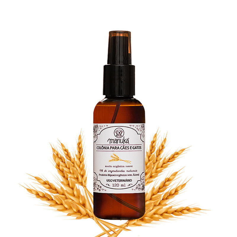 COLÔNIA AVEIA ORGÂNICA