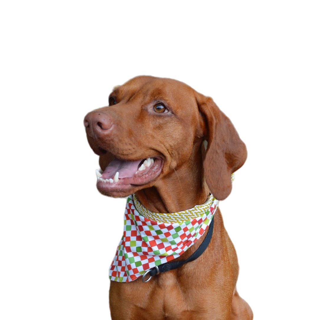 Bandana Berlim
