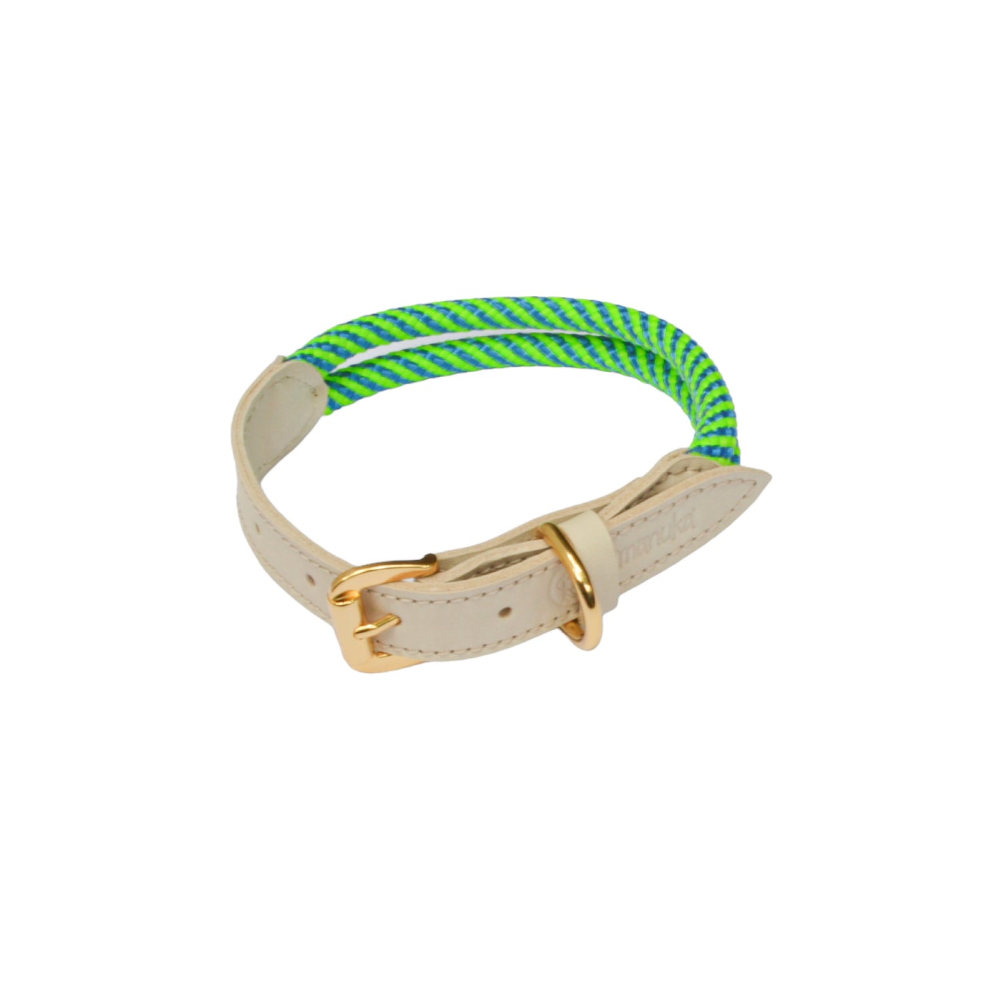 Coleira Minimalista Verde Flúor