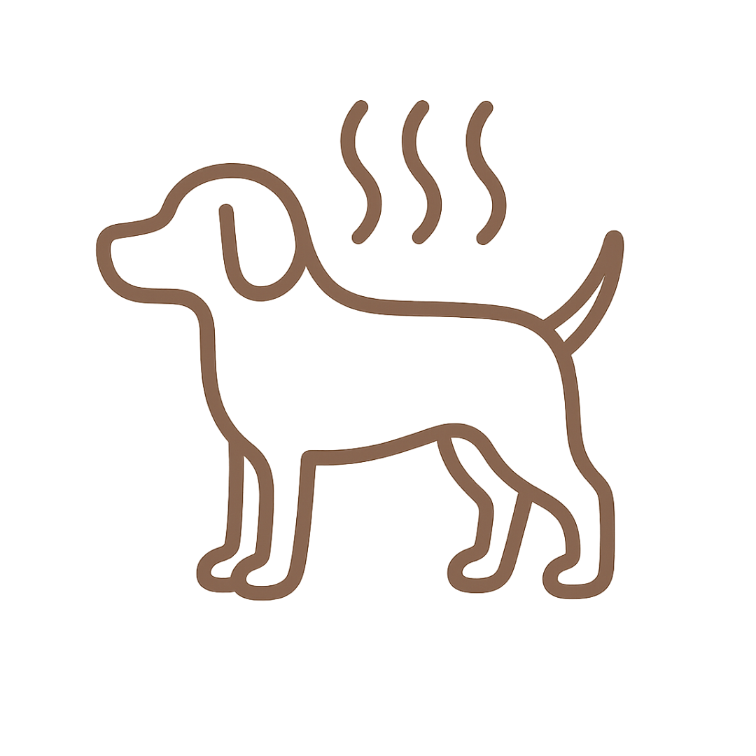 Pele com cheiro forte