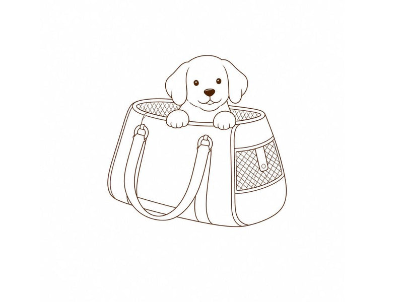 Bolsa