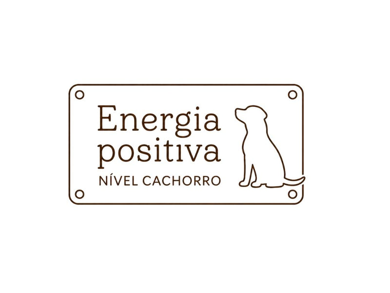 Placas de Decoração Frases