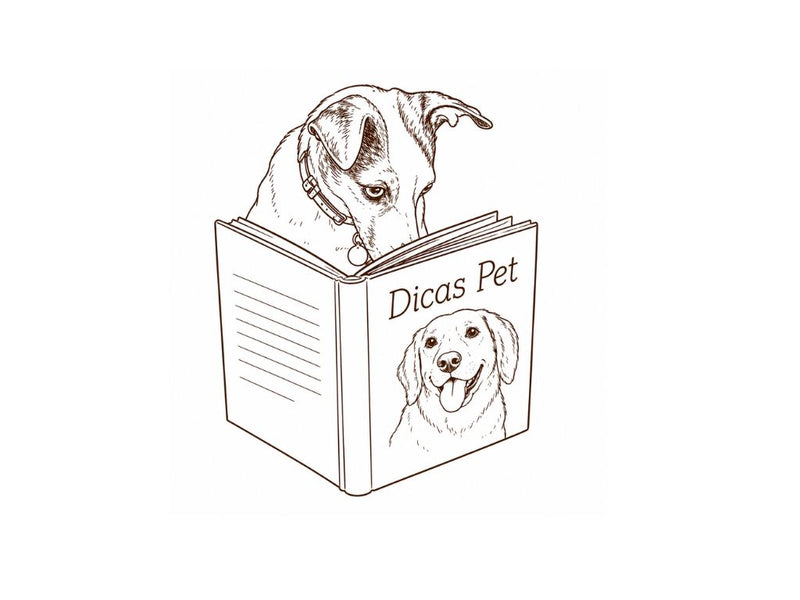 E-book