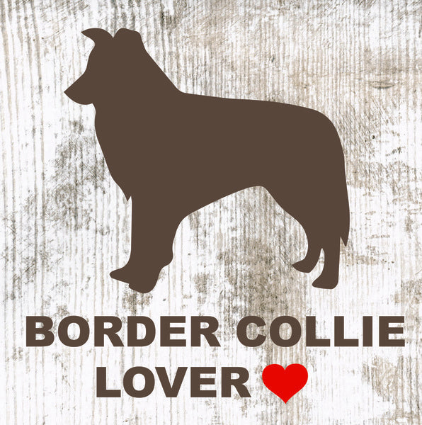 Placa Border Collie - Várias