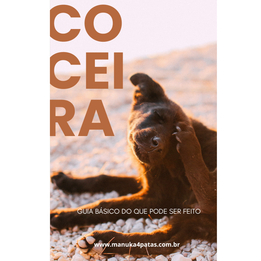 Coceira: um guia básico