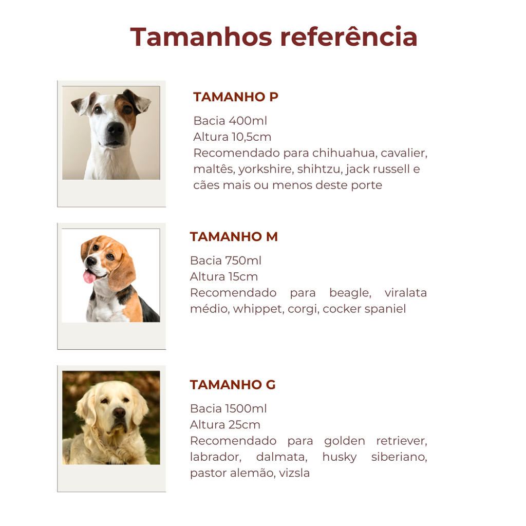 Comedouro Nórdico | Personalize o nome do seu Pet