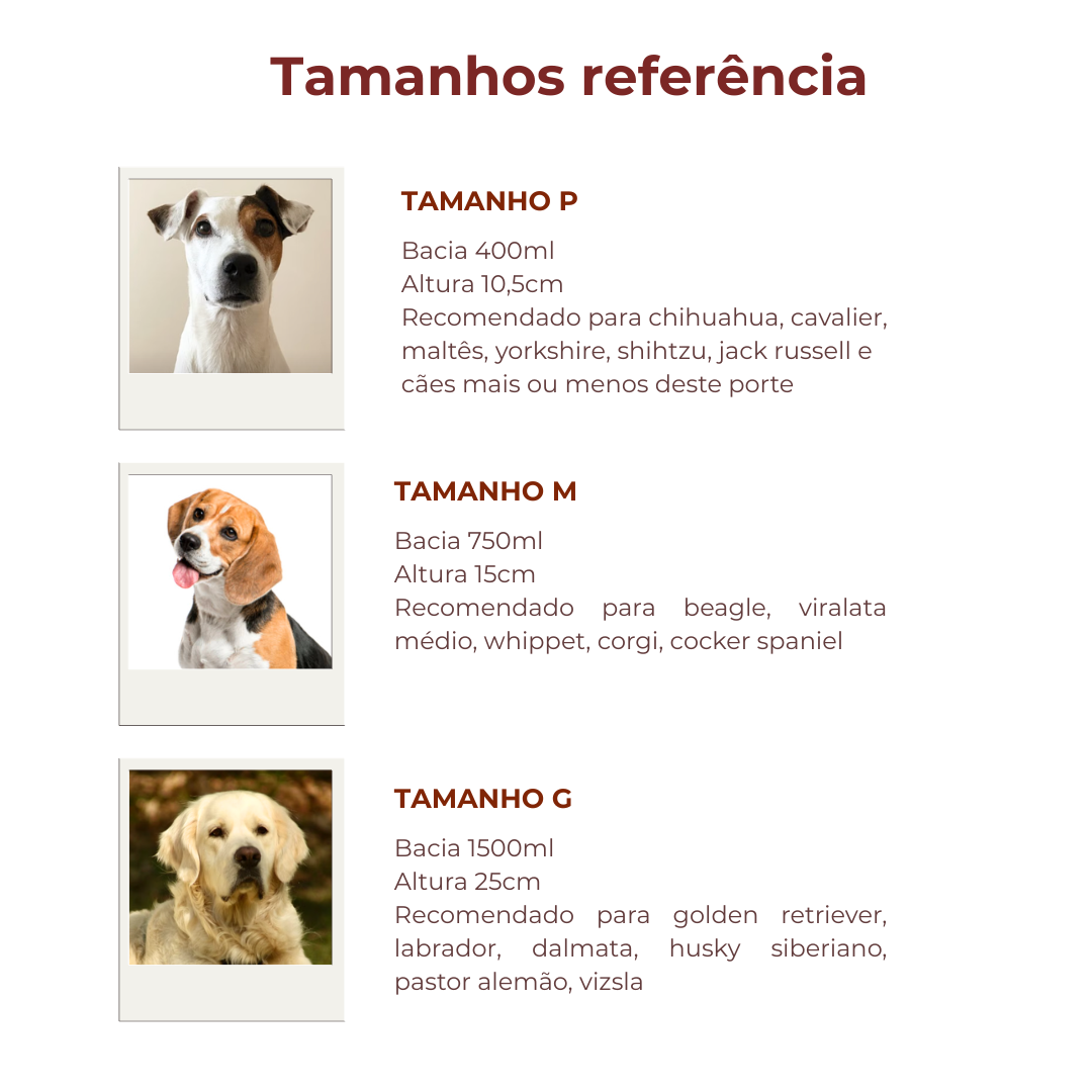 Comedouro Nórdico | Personalize o nome do seu Pet