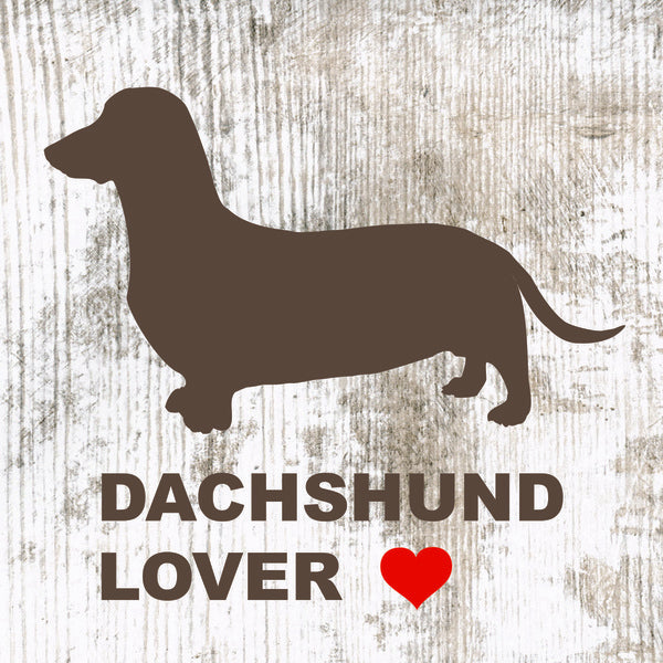 Placa  Dachshund- Várias