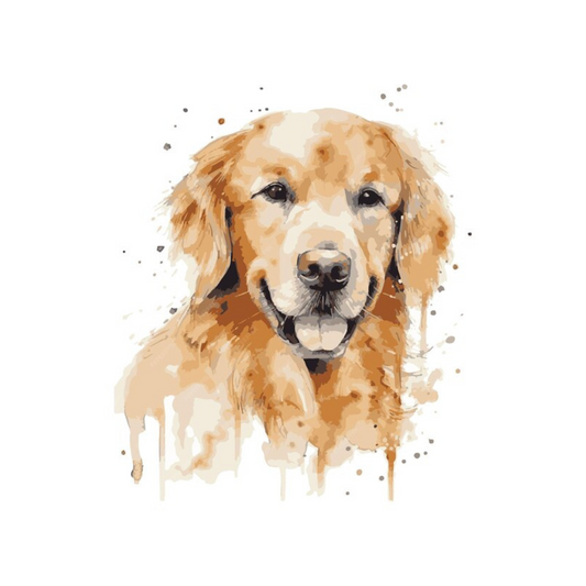 Placa Golden Retriever - Várias