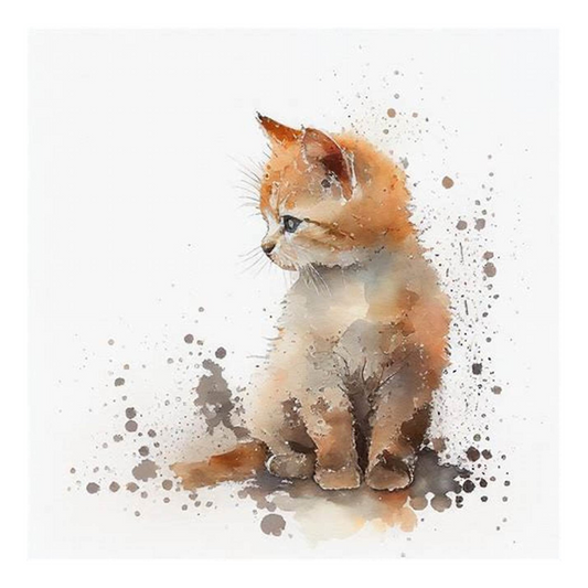 Placa  Gato - Várias