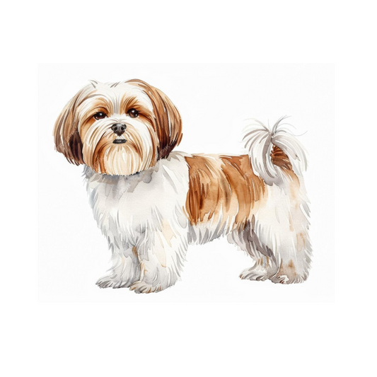 Placa  Lhasa Apso - Várias