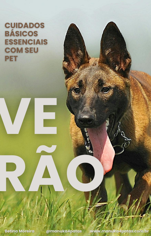E-Book Cuidados Básicos com seu Pet no Verão