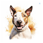 Placa Bull Terrier - Várias